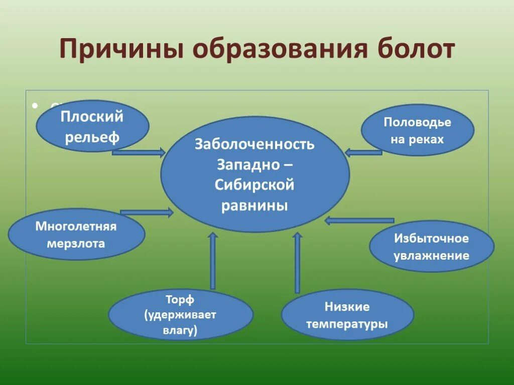 Какой состав болота. Схема причины заболоченности Западно сибирской равнины. Причины образования болот. Причины заболоченности Западной Сибири. Факторы образования болот.