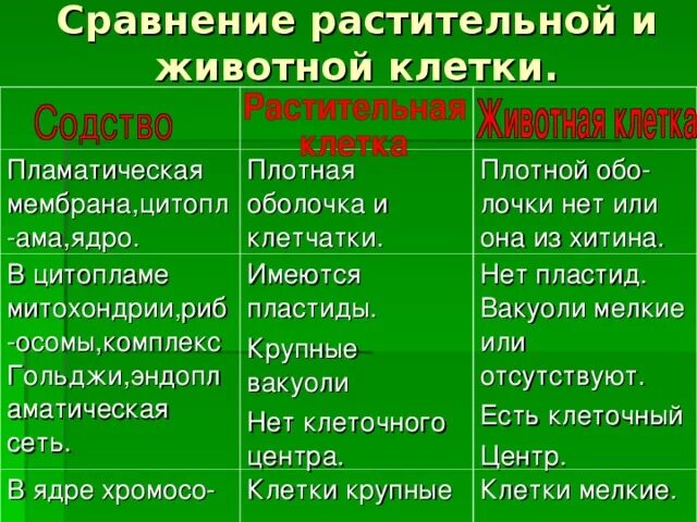 Черты различия клеток