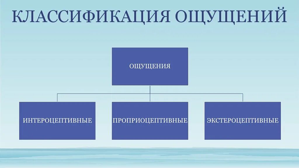 Ощущения страны. Классификация ощущений. Классификация видов ощущений. Классификация ощущений в психологии. Ощущение классификация ощущений.