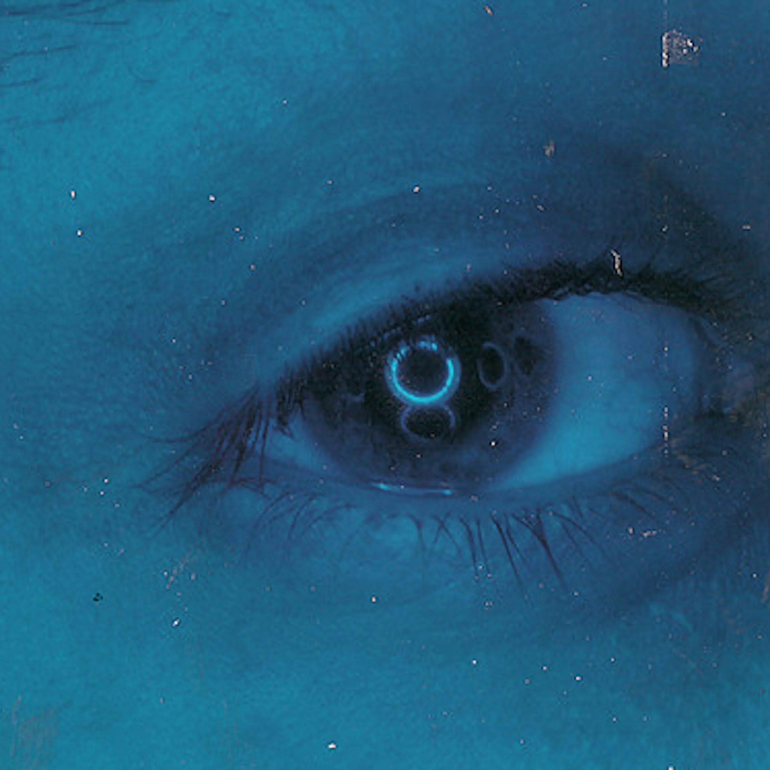Глаз на синем фоне. Глаз с синим фильтром. Синяя аватарка с глазом. Глаз на голубом фоне.