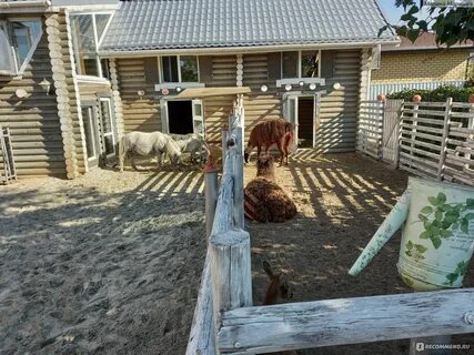 Наше лукоморье