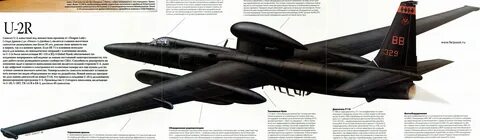 Бомбардировщик сканворд