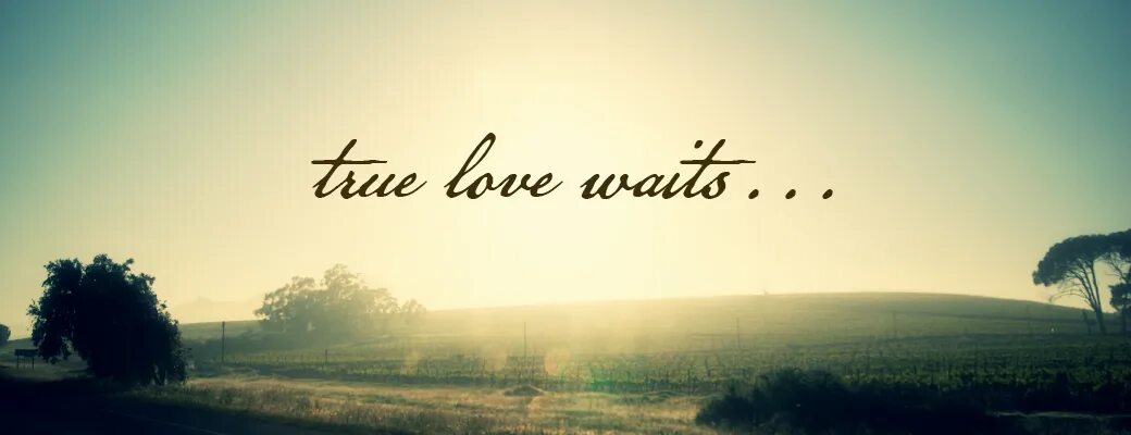 True side. True Love waits. Wait Love. True Love waits quotes. True Love waits Thailand.