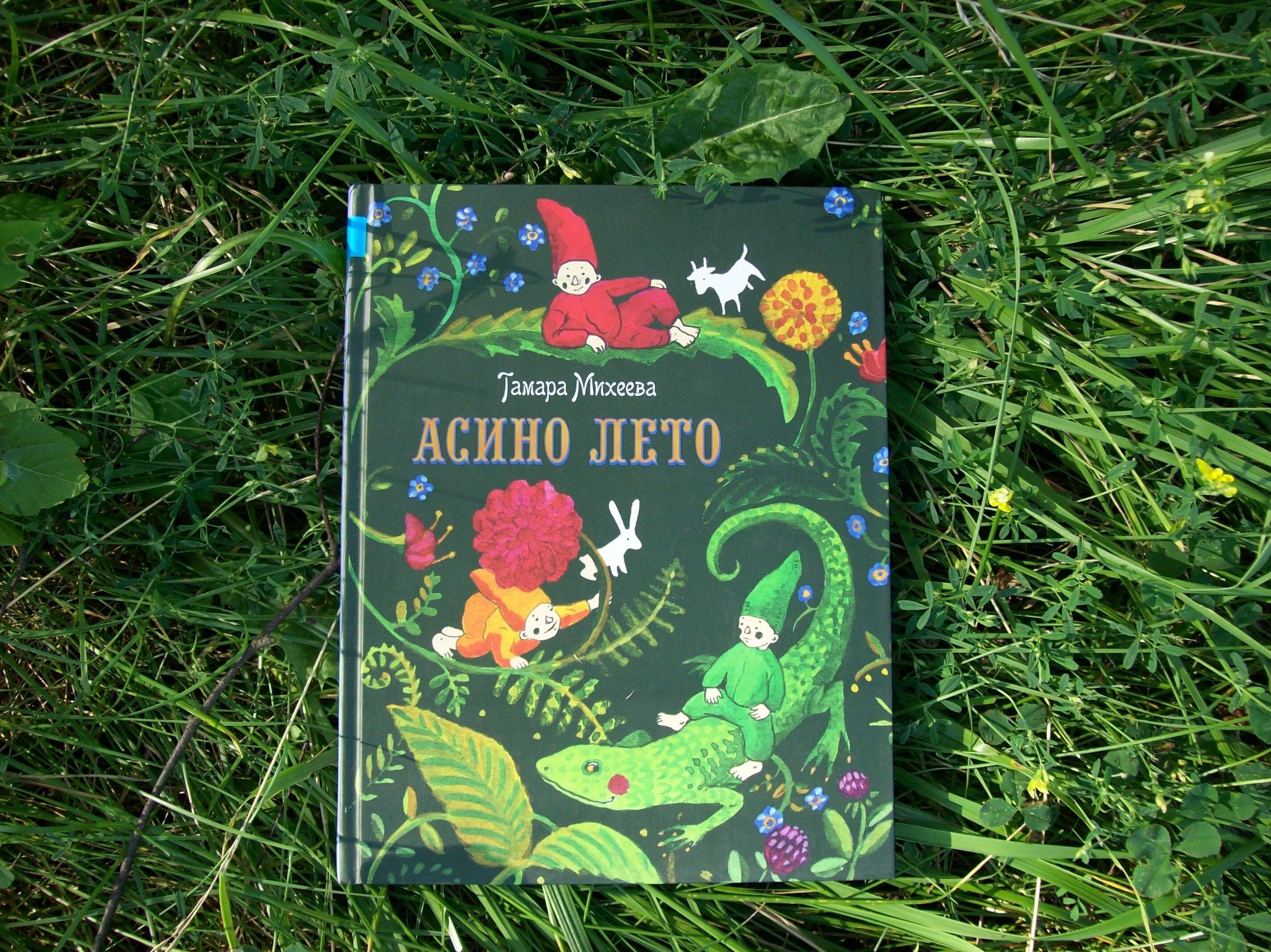 10 летних книг. Т В Михеева Асино лето.