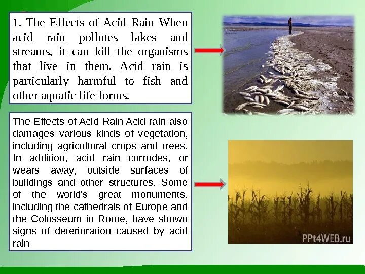 Acid Rain Effects. Кислотные дожди на английском языке. Acid Rains презентация на англ. Сообщение acid Rain. Текст по английскому 7 класс acid rain