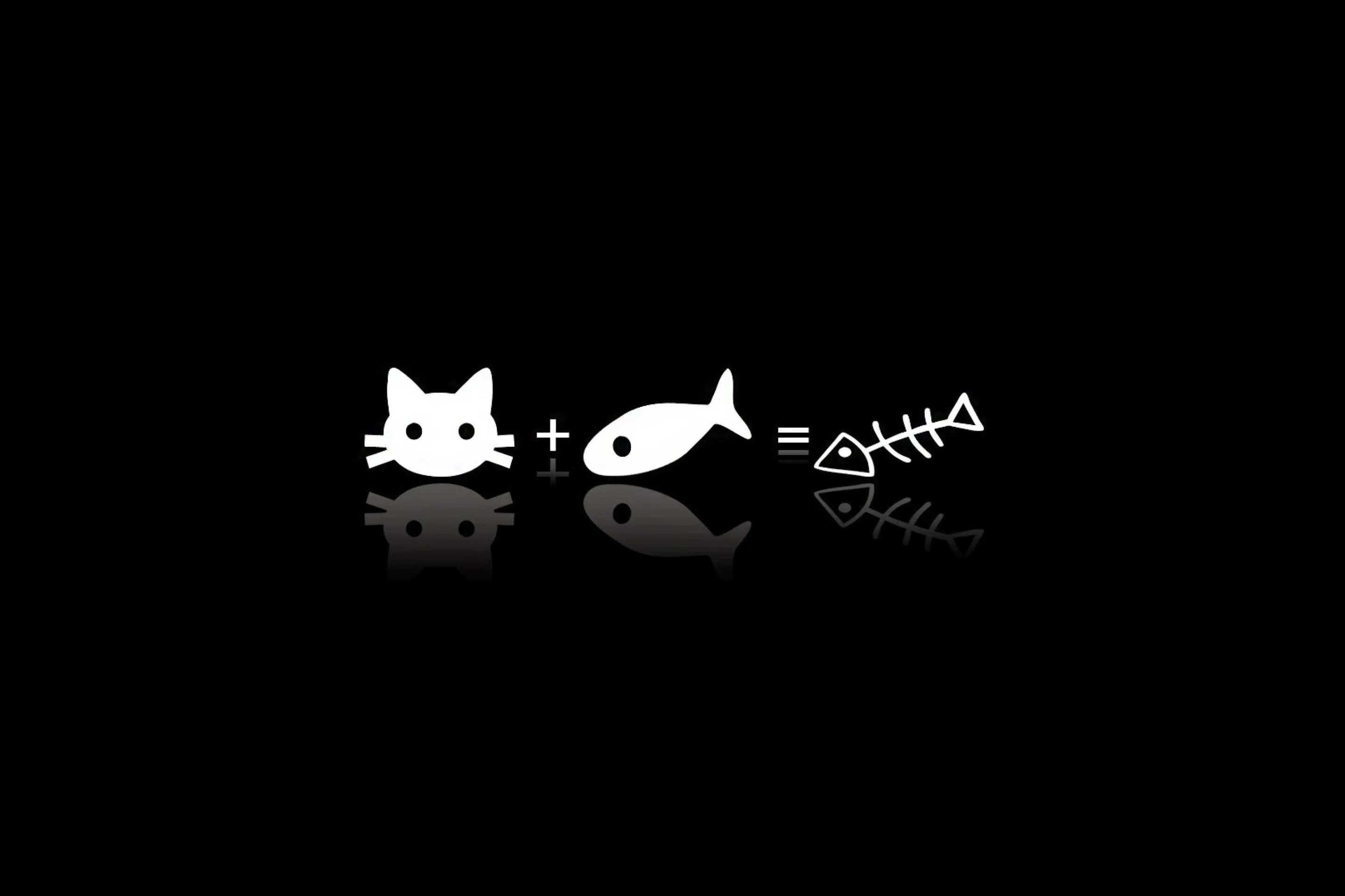 Минимализм. Коты Минимализм. Черные обои. Надписи на черном фоне.