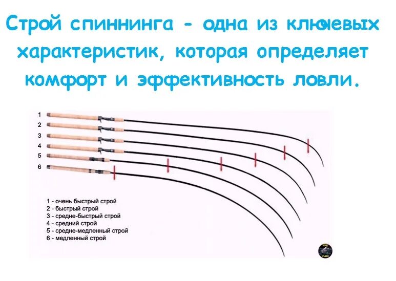 Спиннинги тесты строй. Строй спиннинговых удилищ таблица жесткости. Extra fast Строй спиннинга. Быстрый Строй спиннинга что это такое. Средний быстрый Строй спиннинга.