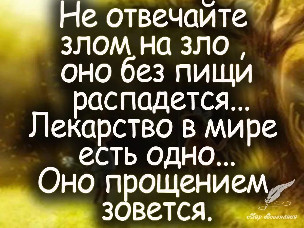 Добро делаешь добро и делай смысл. Мудрые высказывания о добре и зле. Высказывания о добре.