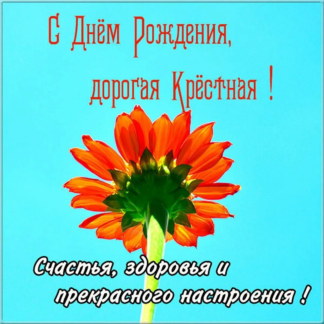 Поздравления с днем рождения главному бухгалтеру женщине. Поздравление бухгалтера с днем рождения. Поздравление главного бухгалтера с днем рождения. С днёмрожденияглавногобухгалтера. С днём рождения женщине бугалтер.