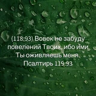 Правда принесешь