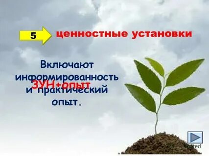 Общая установка это