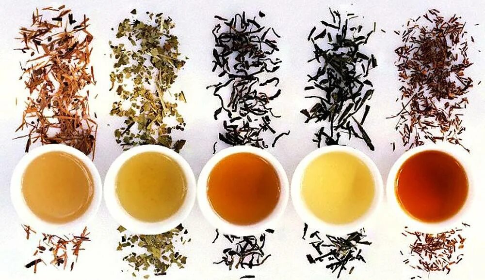 Разные сорта чая. Сорта китайского чая. Ассортимент китайского чая. Элитные сорта чая.