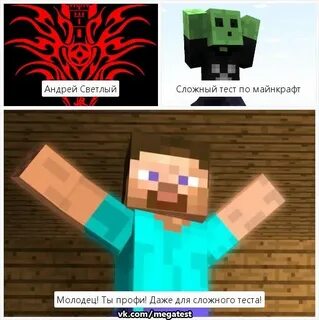 Тест про майнкрафт