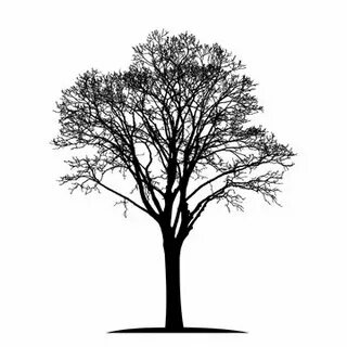 Empty branch
