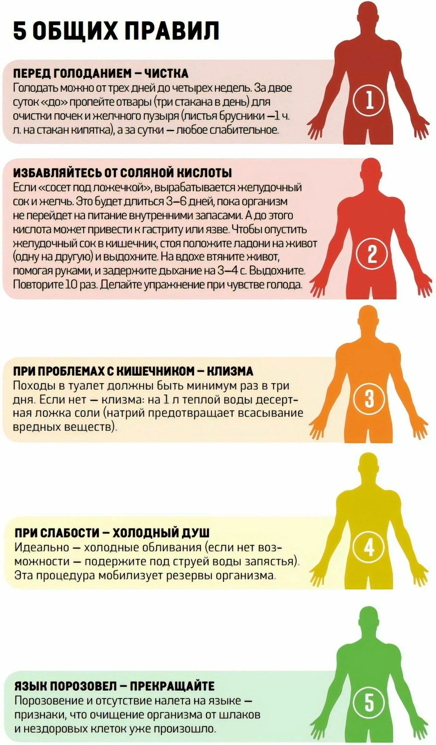 Голодание польза что происходит. Голодание. как правильно голодать. принципы лечебного голодания. медицинское голодание.