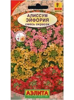 Семена алиссума
