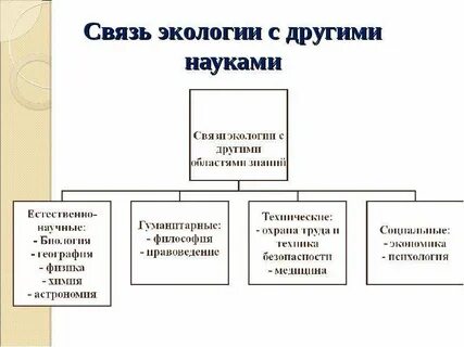 Окружающая среда в современной науке