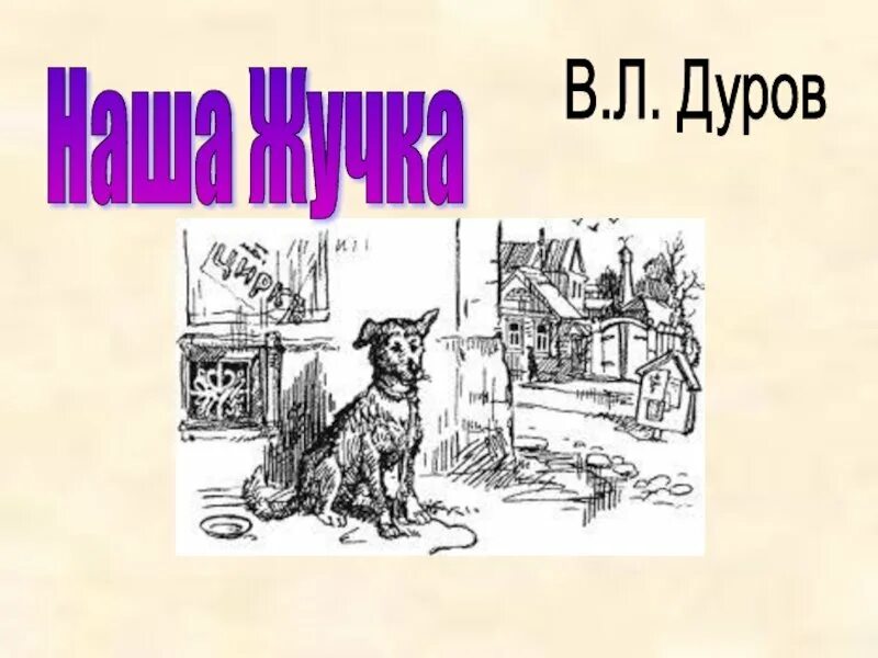 Дуров наша жучка иллюстрации. В Л Дуров наша жучка 3 класс. Рассказ наша жучка. Рассказ дурова наша жучка