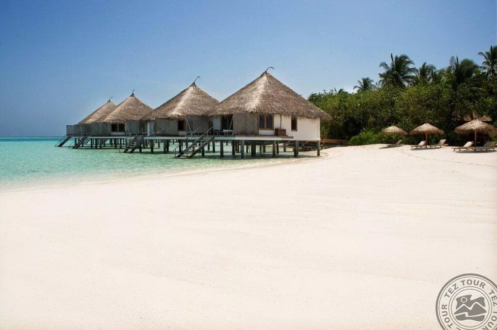 Гангехи Мальдивы. Gangehi Island Resort. Gangehi Island 4*. Gangehi Island Resort Maldives 4.