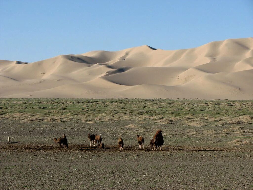 Гоби это пустыня. Монголия пустыня Гоби 2023. Пустыня Гоби климат. Монголия пустыня Гоби зимой. Каменистая пустыня Гоби.