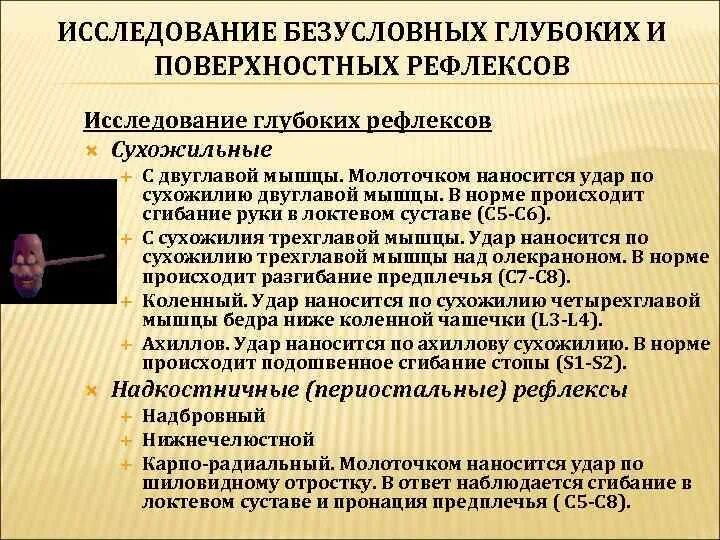 Рефлекс живого. Исследовать периостальные рефлексы. Сухожильные и периостальные рефлексы. Исследование сухожильных рефлексов. Исследование периостальных рефлексов.