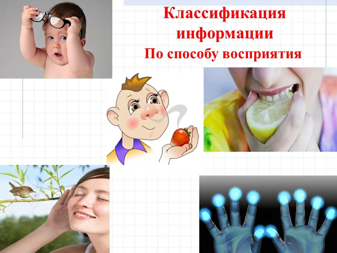 Виды информации игра. Классификация информации по способу восприятия. информация по способу восприятия подразделяется на. фотография по способу восприятия. дополнительные способы восприятия у человека.