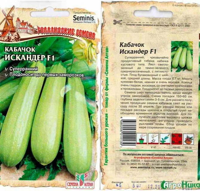 Какой сорт кабачков. Кабачок цуккини искандер f1. кабачок искандер f1 характеристика. кабачок кустовой сорта искандер. кабачок белоплодный искандер.