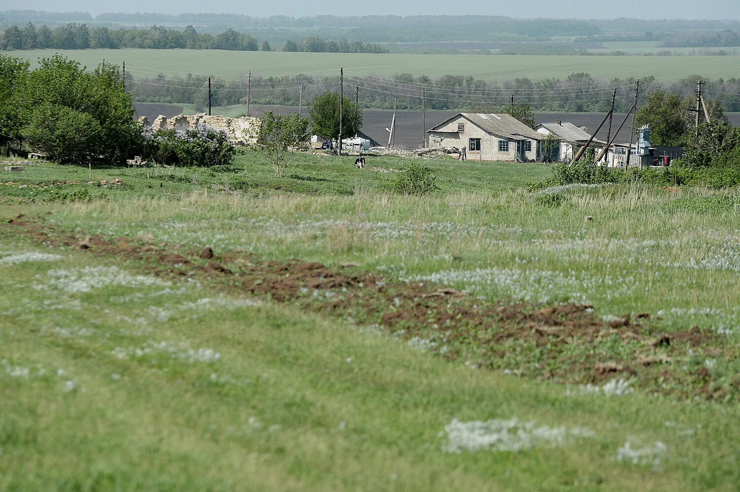 Village воронеж. Заброшенные хутора Воронежской области. Заброшенные деревни Воронежской области. Заброшенные села Воронежской области. Derwvnia v voronezhskoj oblasti.