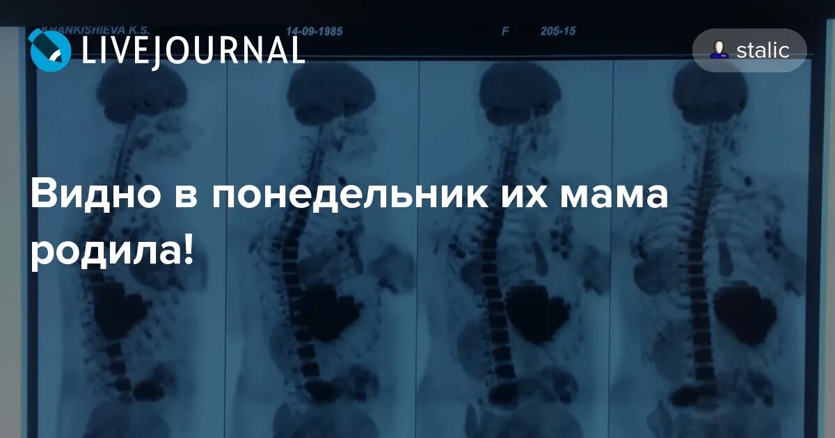 Видно в понедельник их мама родила. Видно в понедельник их. Видно в понедельник их мама. Видно в понедельник их мама родила картинки. В понедельник мама родила песня