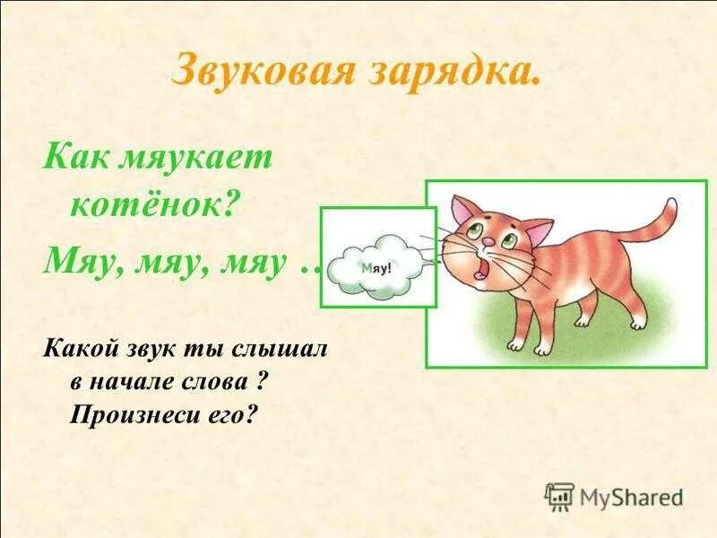 Котенок издает звуки. Котенок мяу мяу. Котенок мяукает. Звук мяу. Как мяучат кошки.