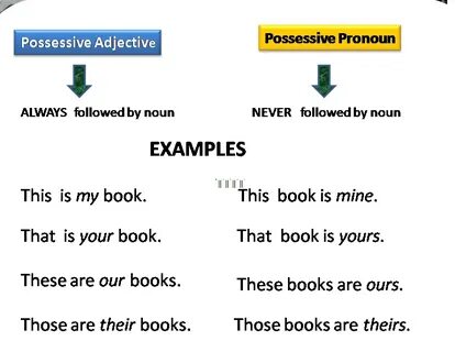 Example possessive