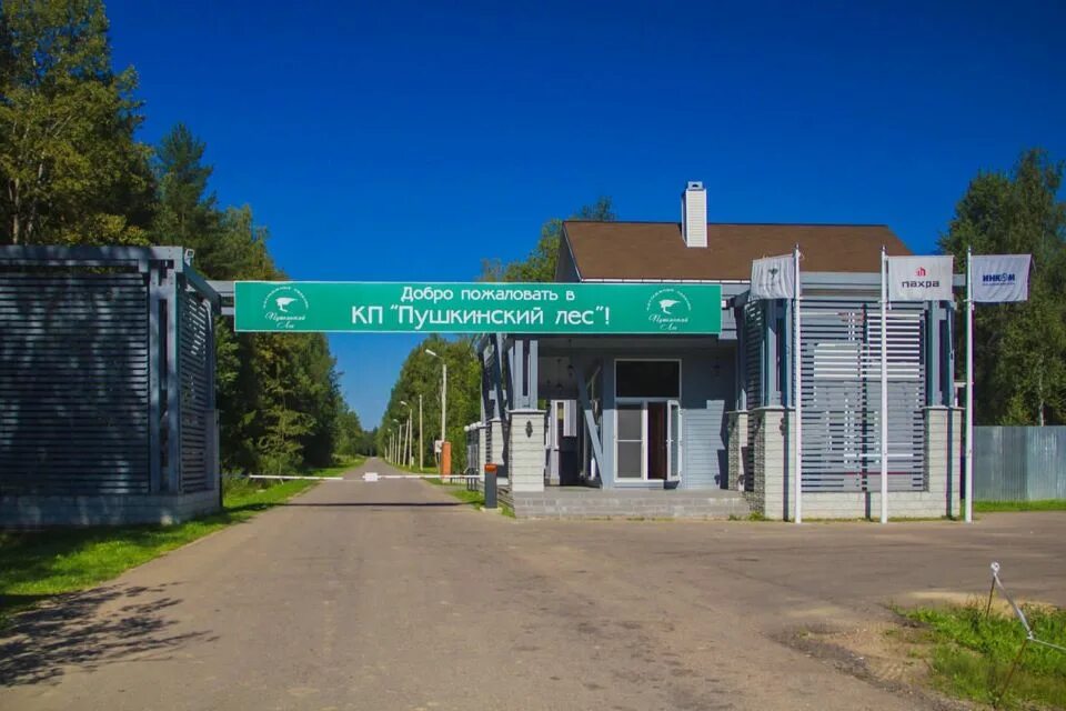 Участки пушкинский лес. Нижний комитетский лес. Пушкино лес. Пушкино лес. Пушкино лес.