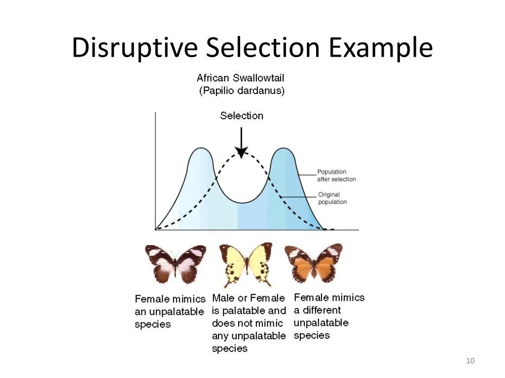 Selection examples