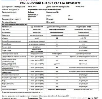 Как называется анализ на мочу
