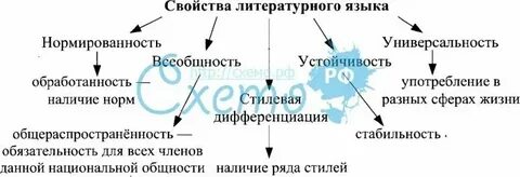 Русский язык понятие кратко