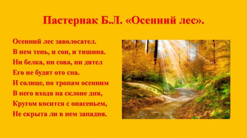 Анализ стихотворения пастернака осень. Стихотворение осень Пастернак. Осенний лес Пастернак. Б Пастернак Золотая осень. Осенний лес заволосател.