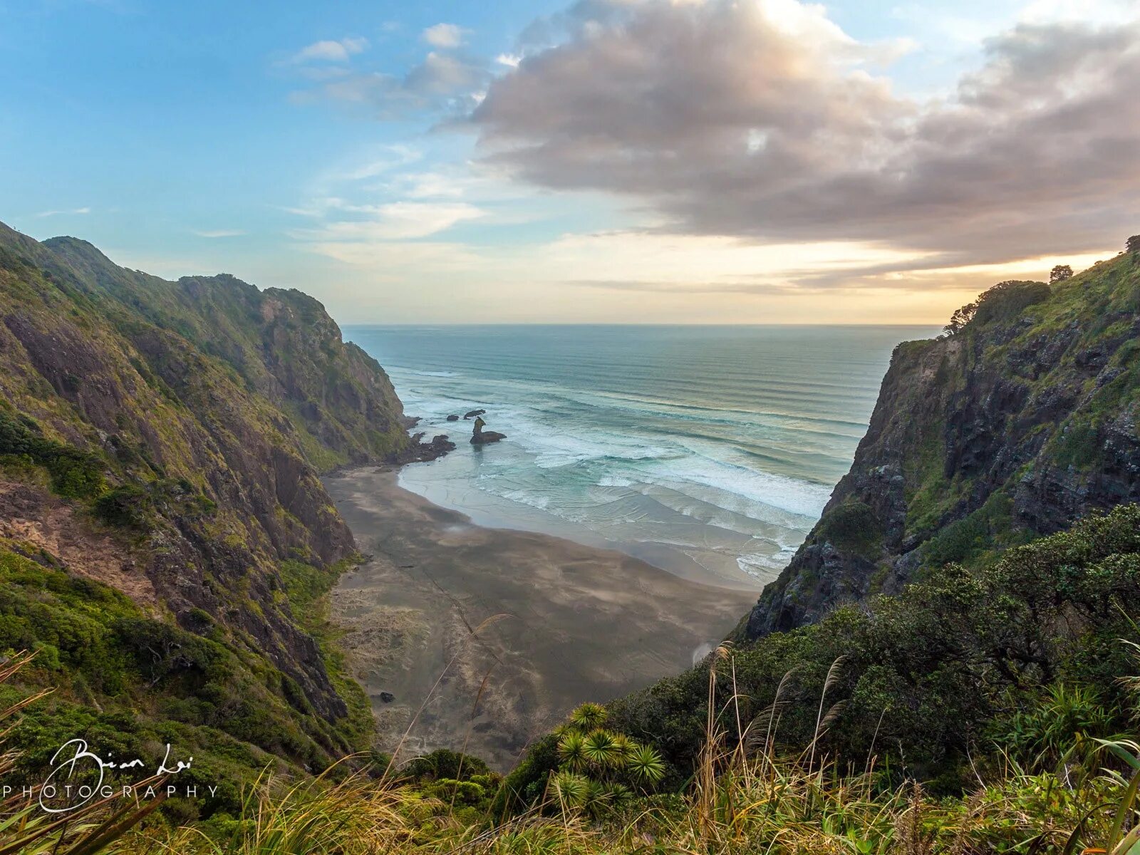 N island. New Zealand North Island. Новая Зеландия Окленд океан. Новая Зеландия Северный остров фото. Морские бухта Кохимарама новая Зеландия.