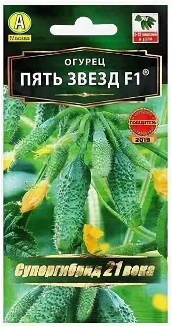 Урожайные и популярные сорта огурцов для теплиц из поликарбоната. Огурцы для теп