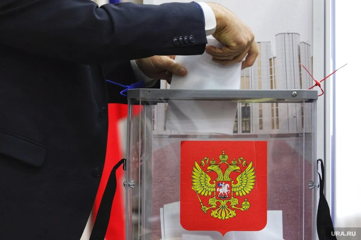 Как проходят выборы 2025 год