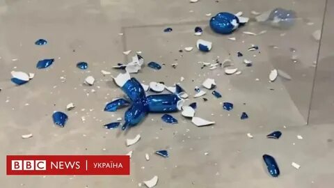 Собака разбила стекло