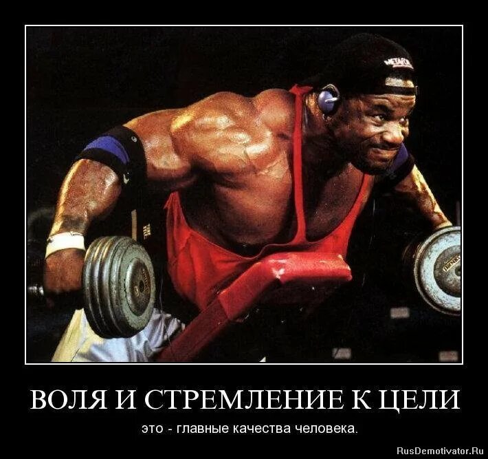Воля стремление цель. Человек на вершине горы. Воля стремление цель. Качок мотиватор. Воля стремление цель.