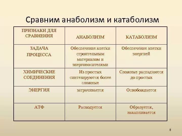 Различия в обмене веществ. Процессы катаболизма и анаболизма. Характеристика процессов анаболизма и катаболизма. Процесс анаболизма и катаболизма этапы. Сравнение анаболизма и катаболизма таблица.