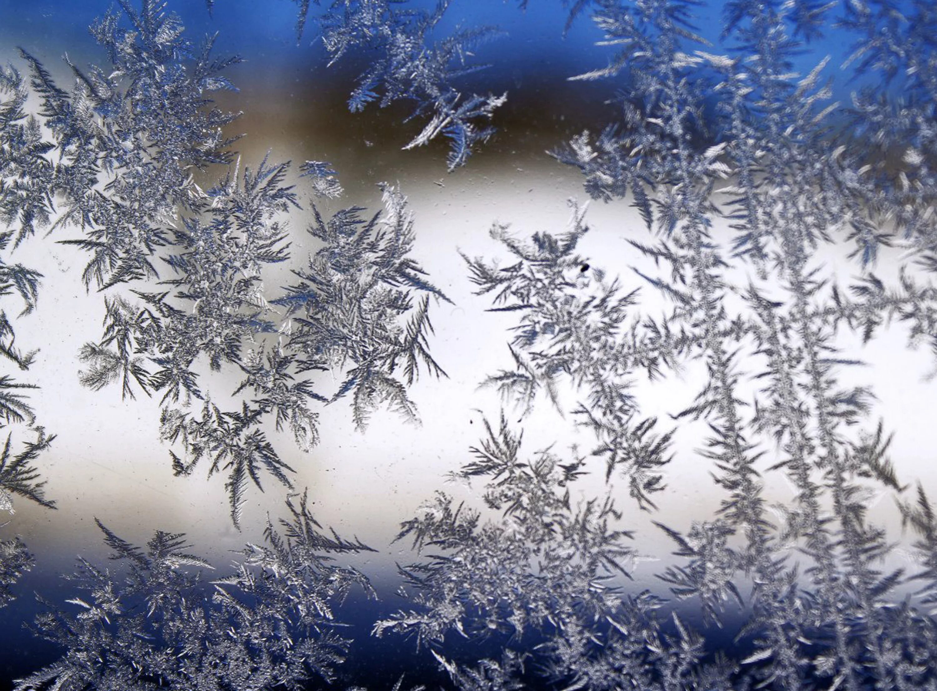 Морозные узоры. Зимние узоры на окнах. Зимние узоры на стекле. Морозные узоры на окне.