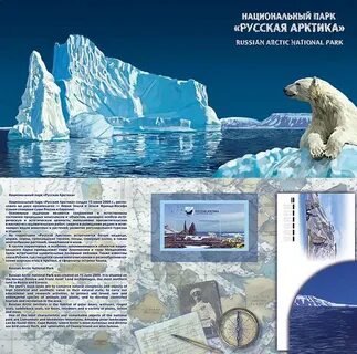 Состав арктики