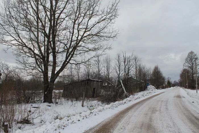 Ермолинское сельское поселение. Ермолинское новгородская область. Григорово великий новгород. Деревня григорово новгородская область. Ермолинское новгородская область.