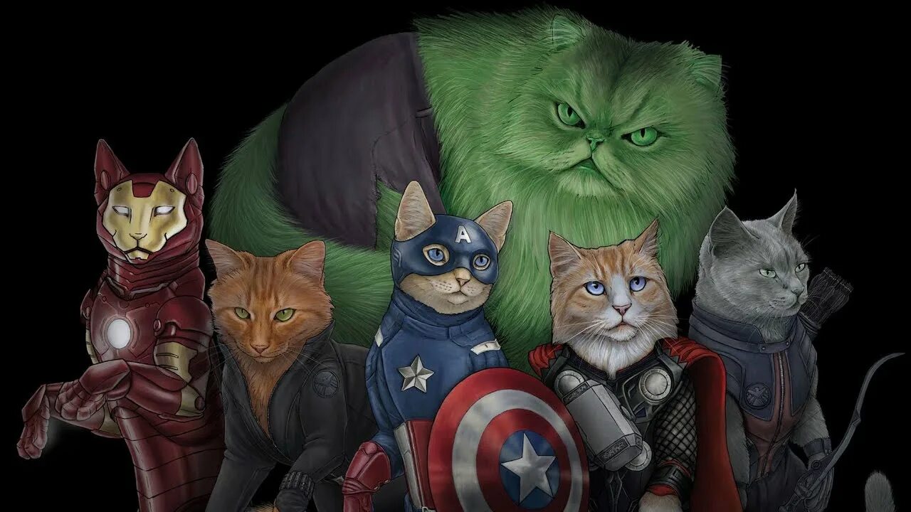Супер кот играет 3 кота. Супер кот играет 3 кота