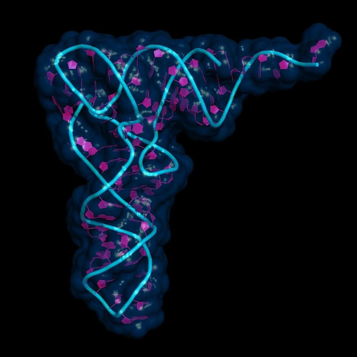 Вселенная РНК теория. Жизнь молекулы РНК. Молекула МИКРОРНК.