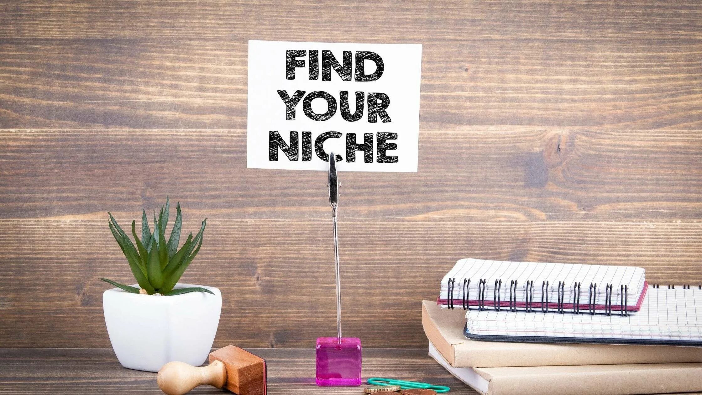 Find your image. Find your image