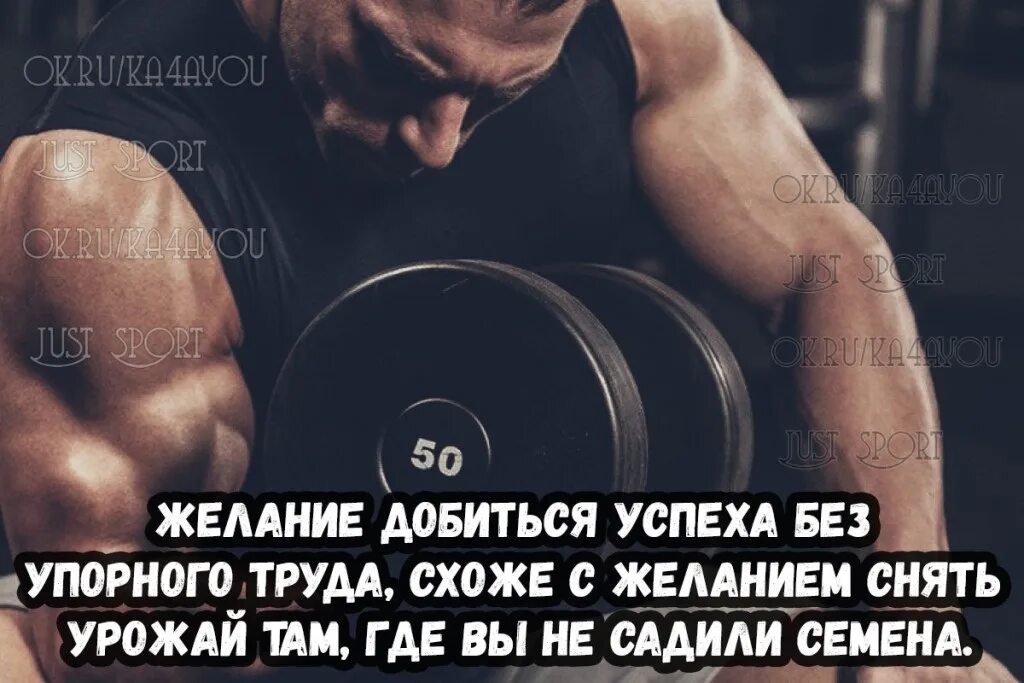 Упорно меру. Упорно меру. Упорно меру. Упорно меру. Анекдот про меру.