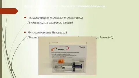 Пневмо 23 взрослым